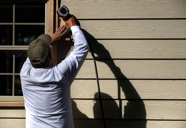 Best Stone Veneer Siding  in Albuquerque, NM
